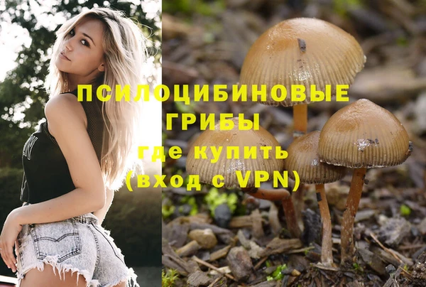 мдма Нефтекумск