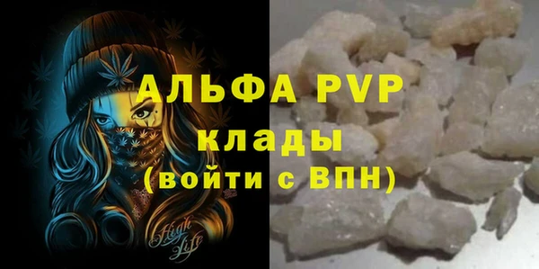 прущие грибы Нефтегорск