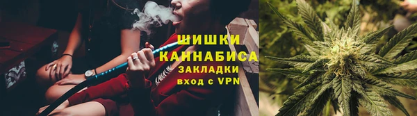 прущие грибы Нефтегорск