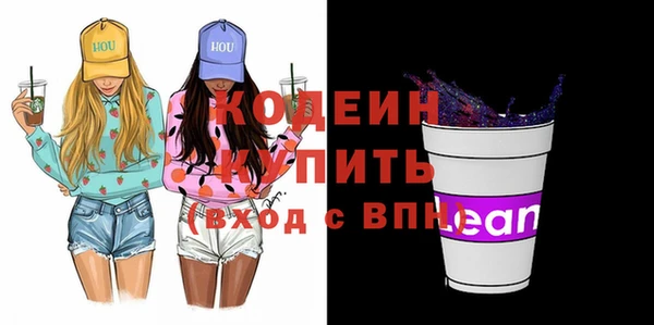 гашик Нея