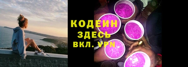 гашик Нея