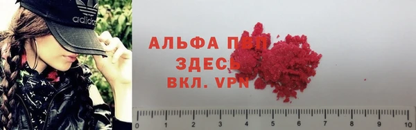 гашик Нея