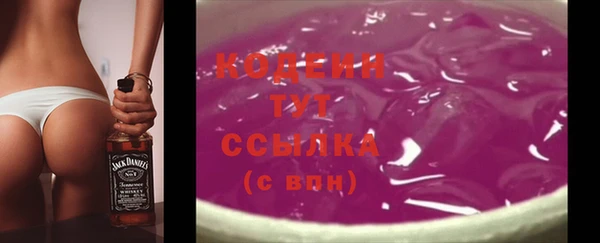 гашик Нея
