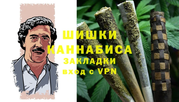 прущие грибы Нефтегорск
