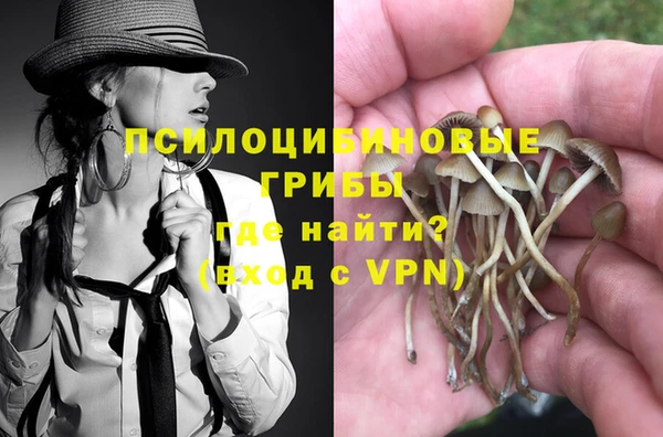 гашик Нея