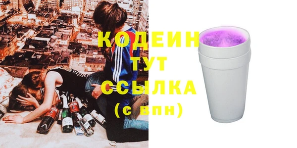 гашик Нея