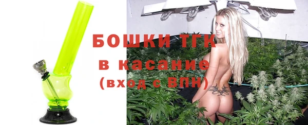 прущие грибы Нефтегорск
