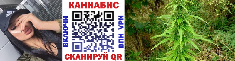 Купить закладки  Славгород  Бошки Шишки гибрид 